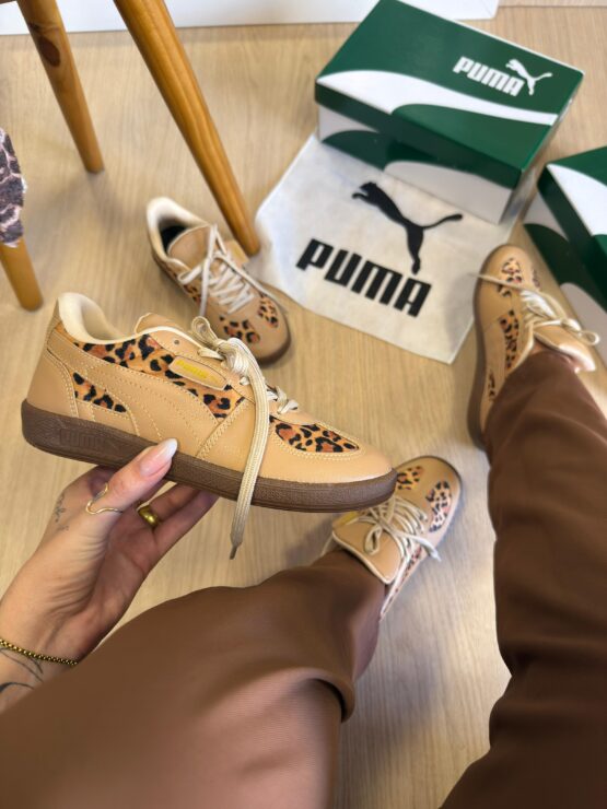 Puma Palermo onça