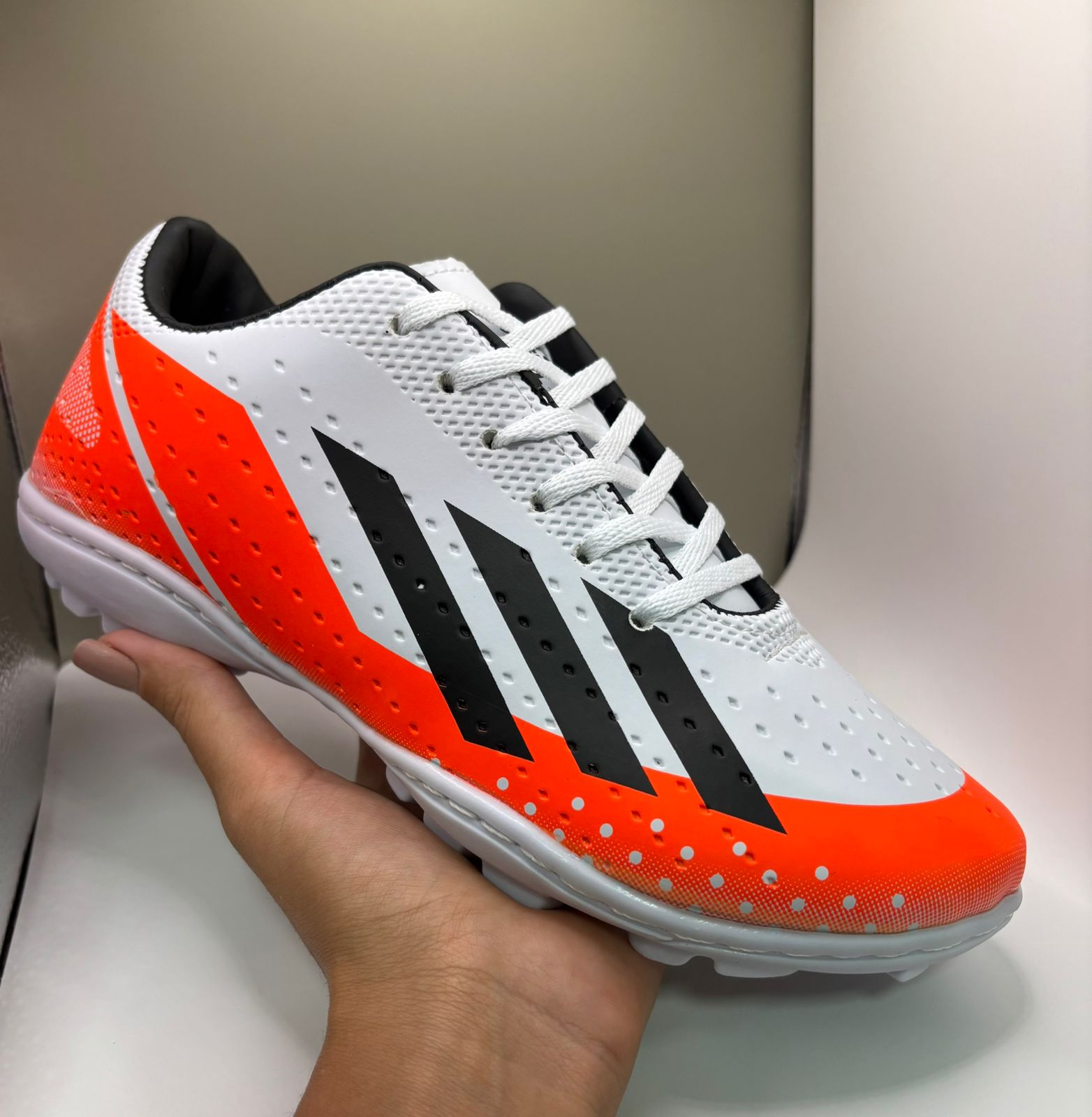 WhatsApp Image 2026-01-19 at 11.57.30