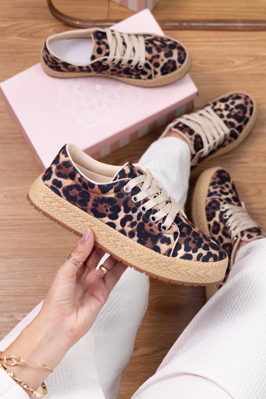 WhatsApp Image 2026-01-19 at 11.58.46