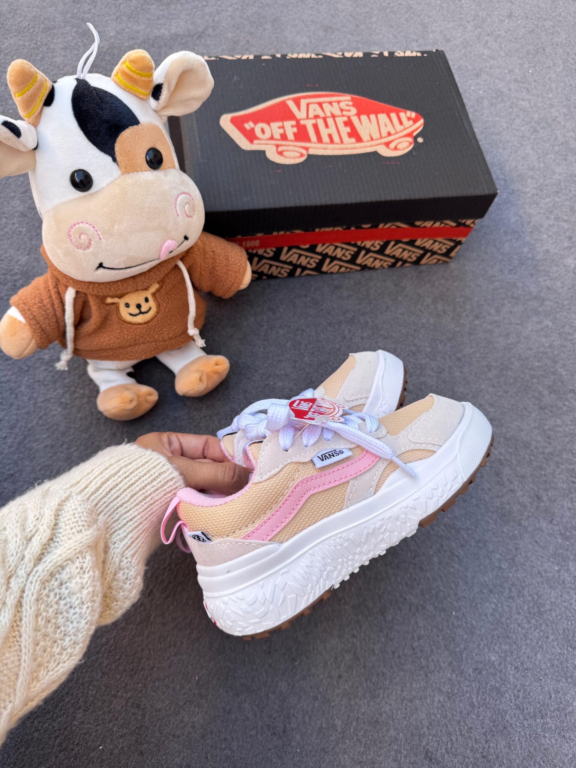 WhatsApp Image 2026-01-19 at 16.01.27