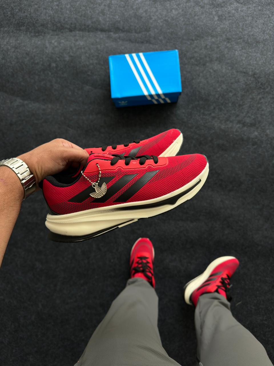 WhatsApp Image 2026-01-20 at 10.17.53